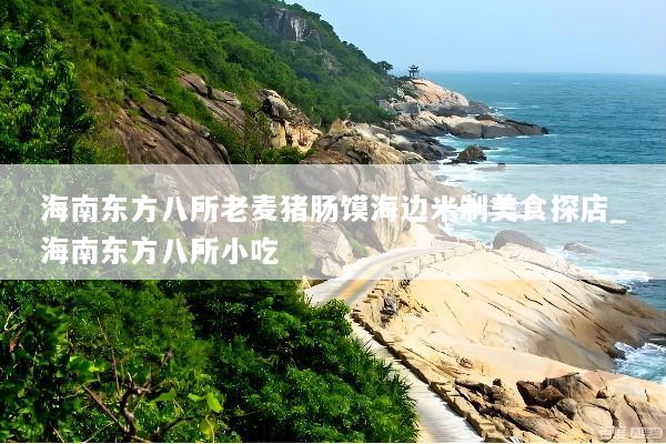 海南东方八所老麦猪肠馍海边米制美食探店_海南东方八所小吃