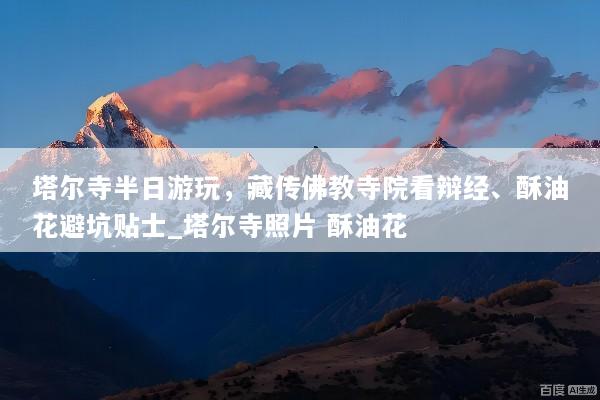 塔尔寺半日游玩，藏传佛教寺院看辩经、酥油花避坑贴士_塔尔寺照片 酥油花