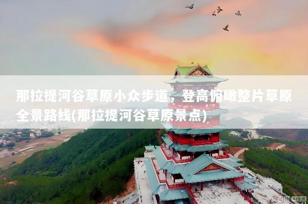 那拉提河谷草原小众步道，登高俯瞰整片草原全景路线(那拉提河谷草原景点)