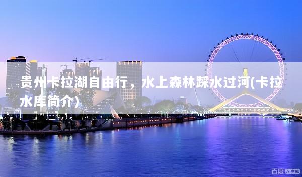 贵州卡拉湖自由行，水上森林踩水过河(卡拉水库简介)