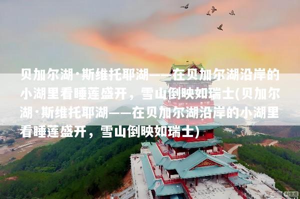 文章配图