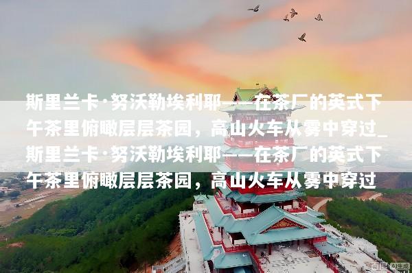 斯里兰卡·努沃勒埃利耶——在茶厂的英式下午茶里俯瞰层层茶园，高山火车从雾中穿过_斯里兰卡·努沃勒埃利耶——在茶厂的英式下午茶里俯瞰层层茶园，高山火车从雾中穿过