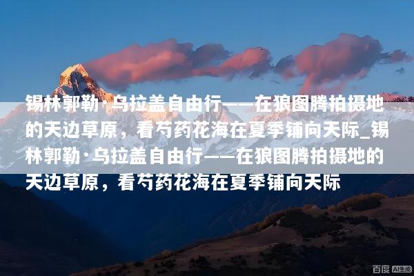 锡林郭勒·乌拉盖自由行——在狼图腾拍摄地的天边草原，看芍药花海在夏季铺向天际_锡林郭勒·乌拉盖自由行——在狼图腾拍摄地的天边草原，看芍药花海在夏季铺向天际