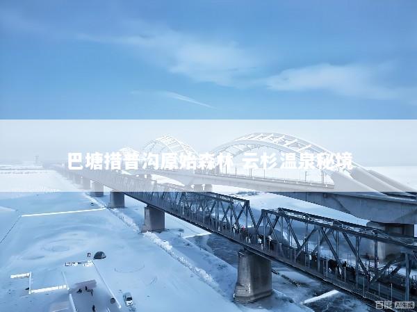 巴塘措普沟原始森林 云杉温泉秘境