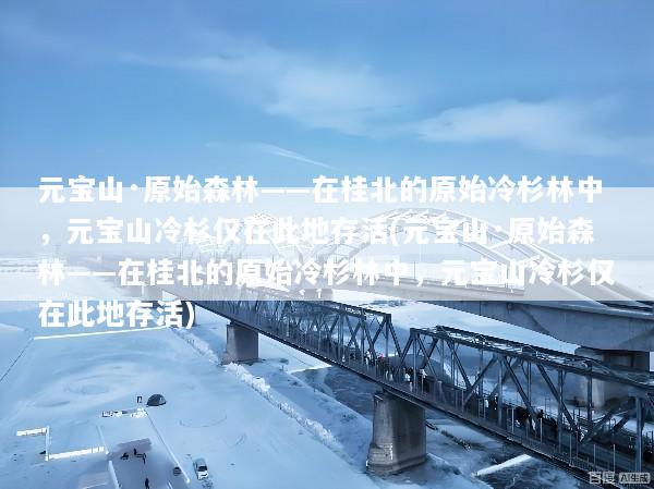 元宝山·原始森林——在桂北的原始冷杉林中，元宝山冷杉仅在此地存活(元宝山·原始森林——在桂北的原始冷杉林中，元宝山冷杉仅在此地存活)