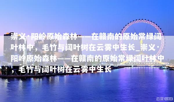 崇义·阳岭原始森林——在赣南的原始常绿阔叶林中，毛竹与阔叶树在云雾中生长_崇义·阳岭原始森林——在赣南的原始常绿阔叶林中，毛竹与阔叶树在云雾中生长