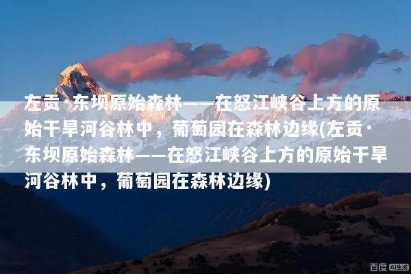 文章配图