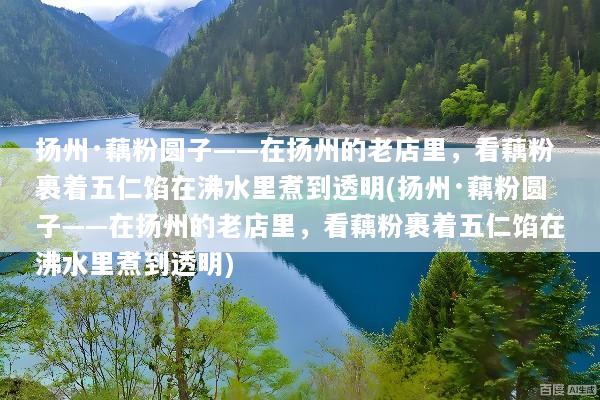 扬州·藕粉圆子——在扬州的老店里，看藕粉裹着五仁馅在沸水里煮到透明(扬州·藕粉圆子——在扬州的老店里，看藕粉裹着五仁馅在沸水里煮到透明)