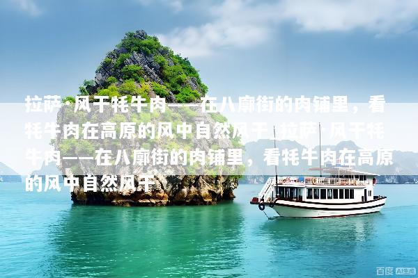 拉萨·风干牦牛肉——在八廓街的肉铺里，看牦牛肉在高原的风中自然风干_拉萨·风干牦牛肉——在八廓街的肉铺里，看牦牛肉在高原的风中自然风干