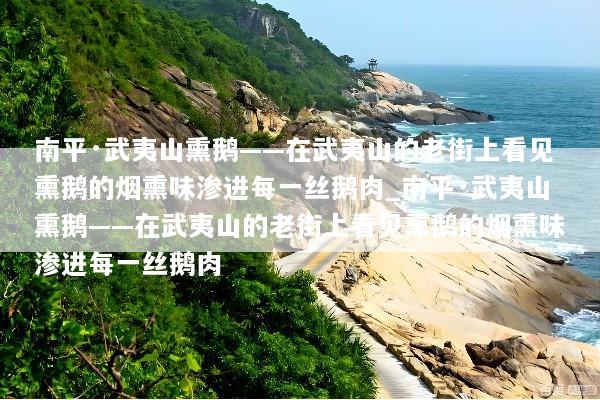 南平·武夷山熏鹅——在武夷山的老街上看见熏鹅的烟熏味渗进每一丝鹅肉_南平·武夷山熏鹅——在武夷山的老街上看见熏鹅的烟熏味渗进每一丝鹅肉