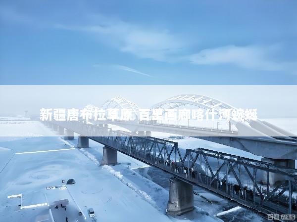 新疆唐布拉草原 百里画廊喀什河蜿蜒