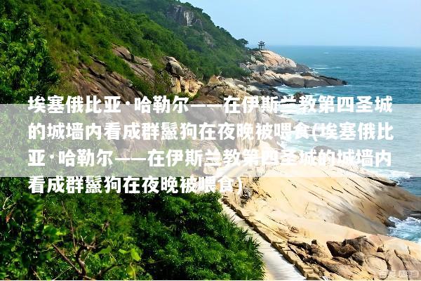 埃塞俄比亚·哈勒尔——在伊斯兰教第四圣城的城墙内看成群鬣狗在夜晚被喂食(埃塞俄比亚·哈勒尔——在伊斯兰教第四圣城的城墙内看成群鬣狗在夜晚被喂食)