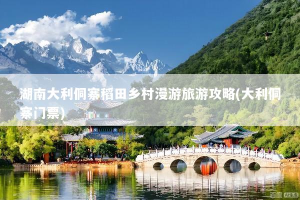 湖南大利侗寨稻田乡村漫游旅游攻略(大利侗寨门票)